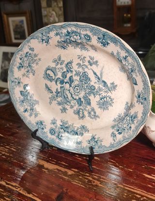 Fuente Asiatic Pheasants de Primavesi&Sons