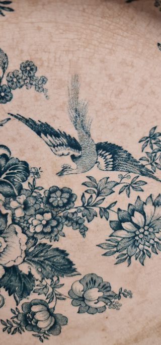 Fuente Asiatic Pheasants de Primavesi&Sons