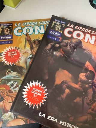 Conan la espada salvaje de conan. comics