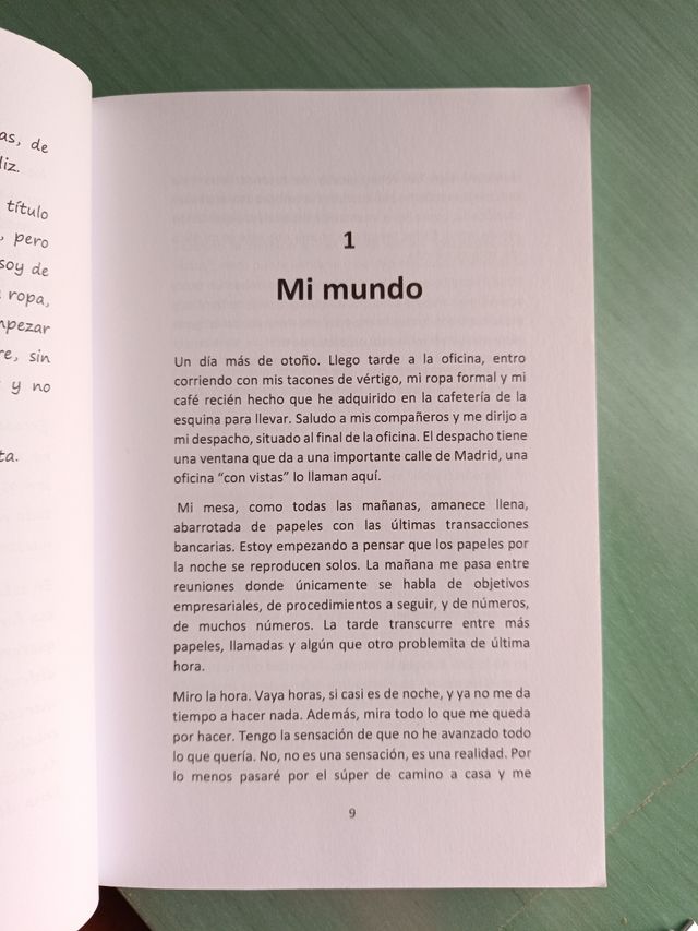 Nunca pierdas el sur verónica Sanchís tapa blanda