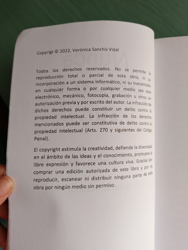 Nunca pierdas el sur verónica Sanchís tapa blanda