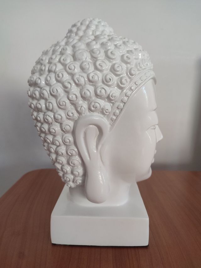 CABEZA BUDA GATO PRETO