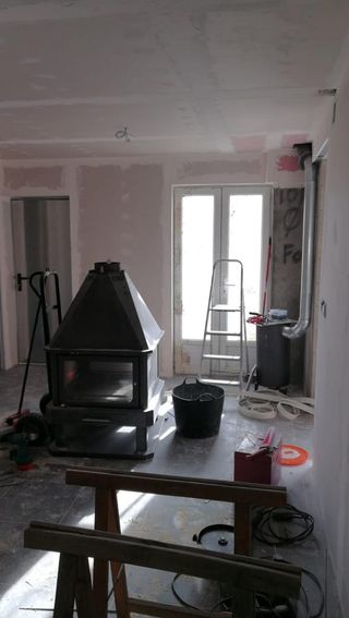 Pintor profesional