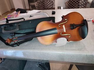 Violino