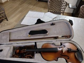 Violino