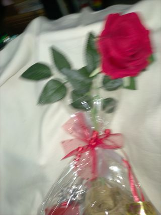 Cesta ideal regalo