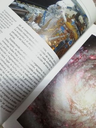 Los orígenes Historia