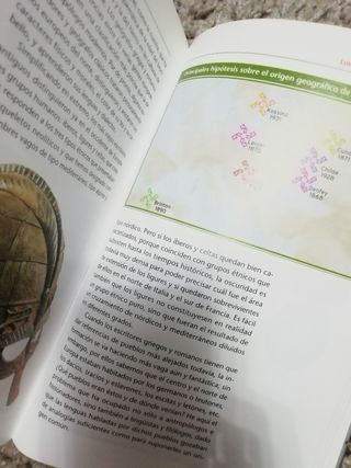 Los orígenes Historia