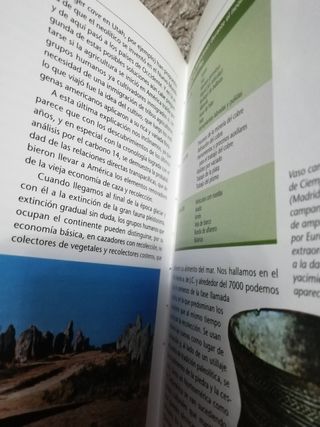 Los orígenes Historia