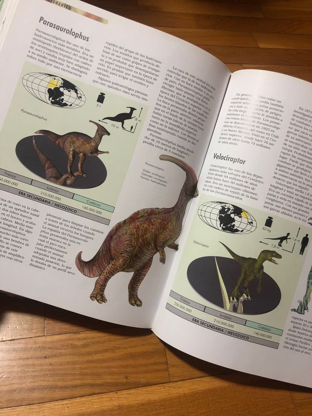 libro LOS DINOSAURIOS. NGV