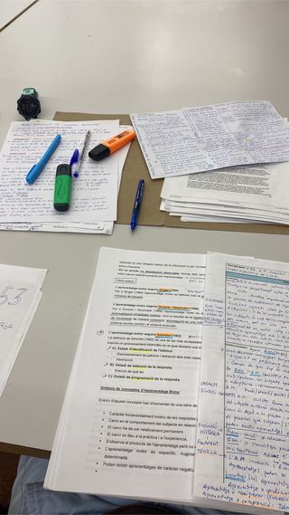 Apunts resum temes oposició EF secundaria  