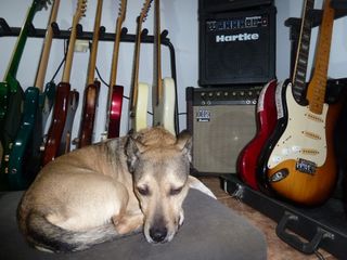 Clases de Guitarra / Bajo en BCN y cercanias