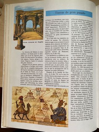 Consultor pedagógico A zeta completo