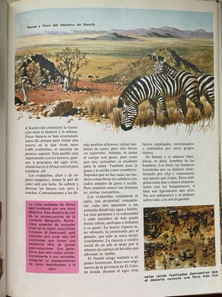 Consultor pedagógico A zeta completo