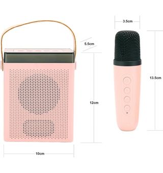 Altavoz con micrófono inalámbrico Karaoke ROSA