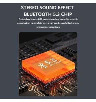 Altavoz con micrófono inalámbrico Karaoke ROSA