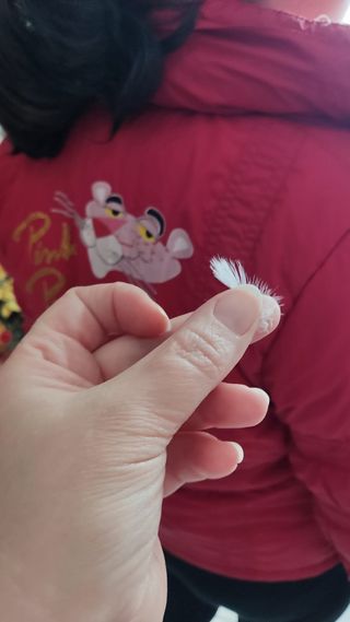 Giubbotto bambino Pantera Rosa