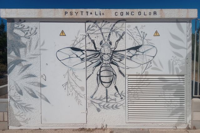 GRAFITI mural para hogar jardín dibujo pared deco