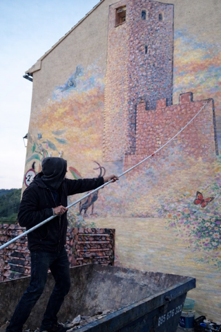 GRAFITIyo bichitos natural art