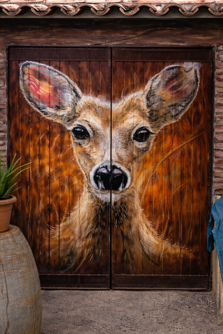 GRAFITIyo bichitos natural art