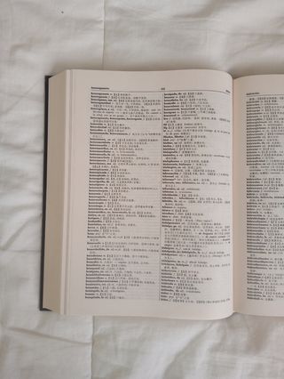 Diccionario español chino