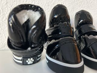 Botas perro