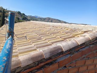 Cubiertas y tejas TLF.651429938
