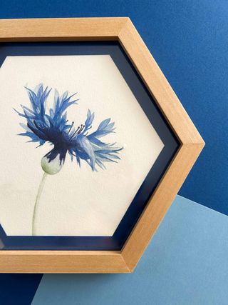 Cuadro madera de acuarela original de flor aciano