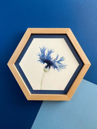 Cuadro madera de acuarela original de flor aciano