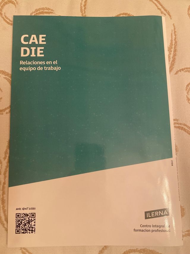 Ilerna.Relaciones en el equipo de trabajo