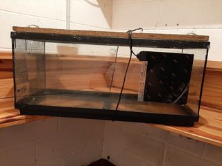TERRARIO GRANDE