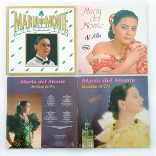 MARiA DEL MONTE Lote 9 LP