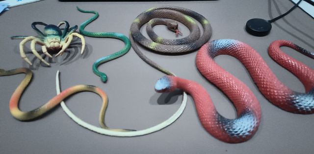 Culebras y araña