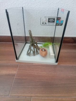 Pecera cuadrada ICA 10l