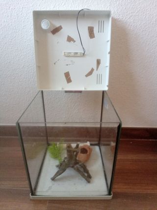 Pecera cuadrada ICA 10l