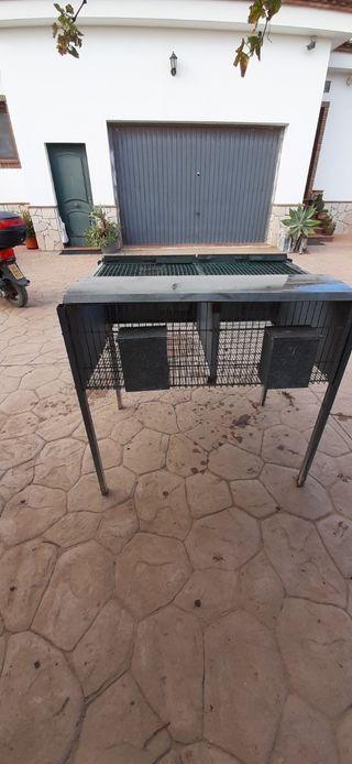 jaula gallinas ponedoras