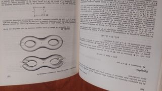 Introducción a la topologia algebraica,