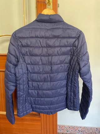 Plumifero ligero T. L