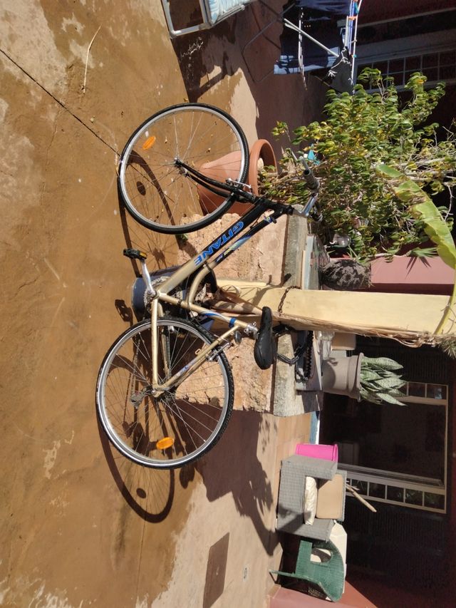 Bicicleta vintage aluminio Gitane