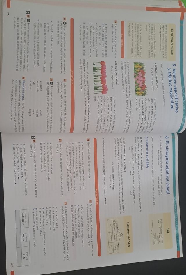 Lengua Castellana y Literatura 2eso