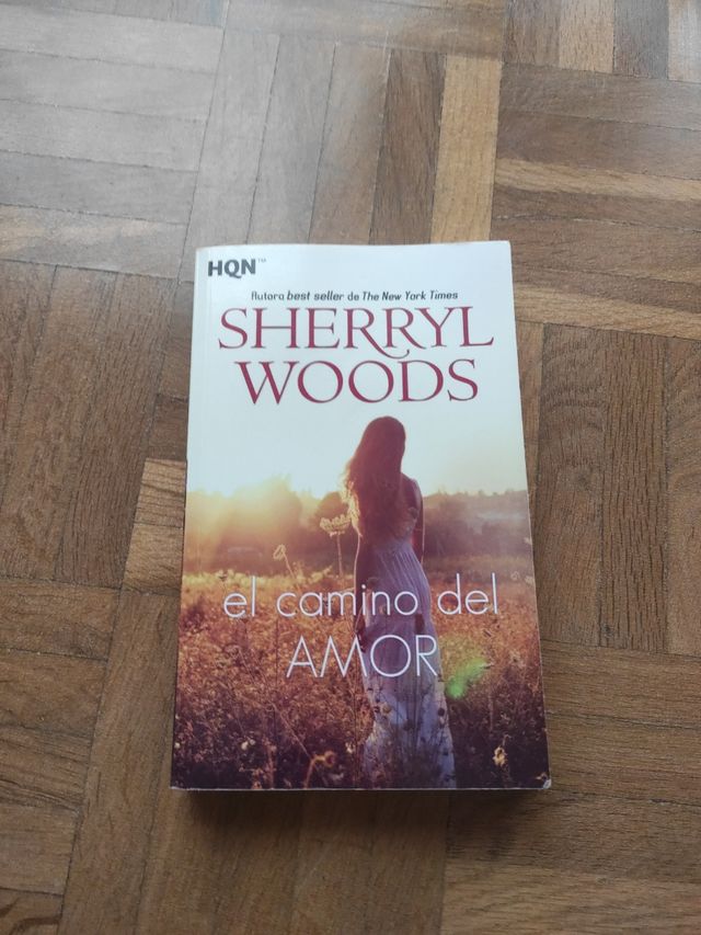 Novela el camino del Amor