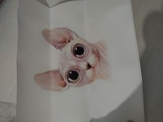 Tela gato
