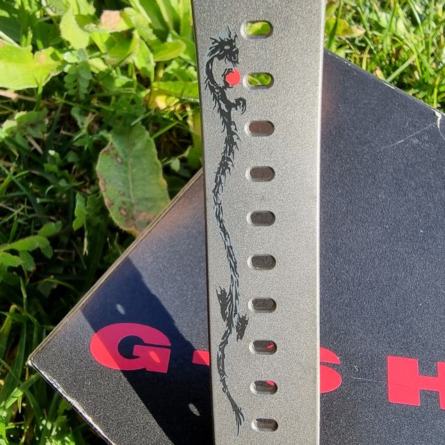 Casio G-shock DW-056 Silver Dragon