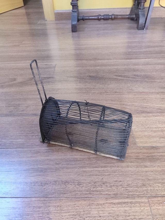 Ratonera