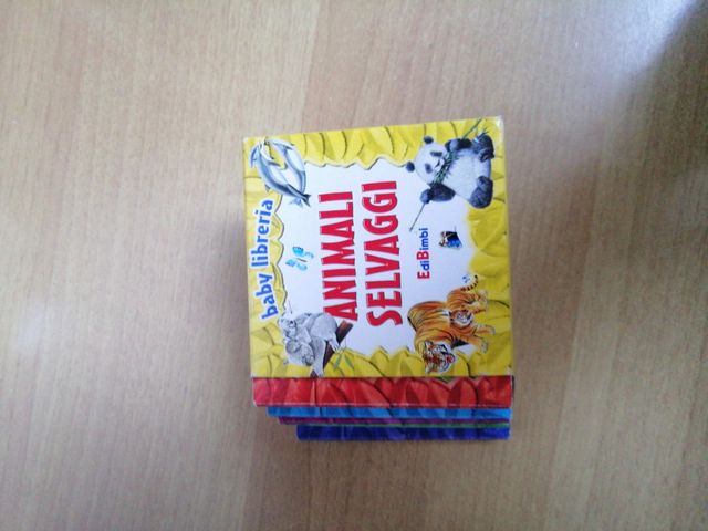 Animali selvaggi, baby libreria