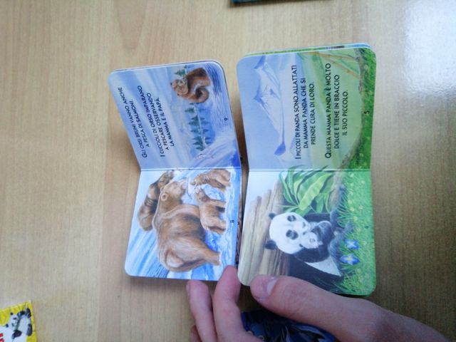 Animali selvaggi, baby libreria