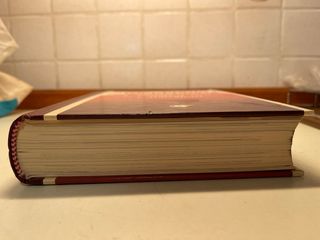 libro NEL MONDO DELL’INCREDIBILE