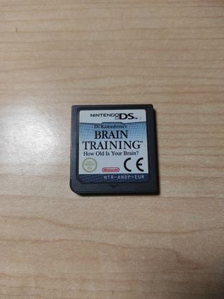 Brain Training DS