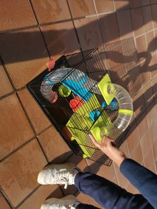 Jaula hamster