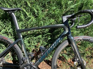 Specialiced Tarmac expert 2022 talla 54